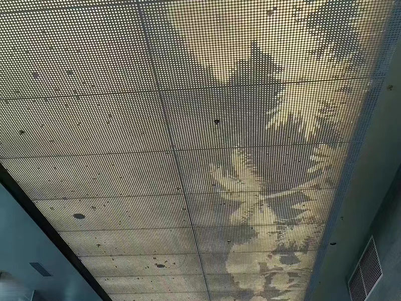 成功案例